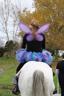 Waterfall Fairy Adult tutu