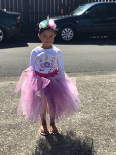 Mayhem Creations Princess Tutu Skirt