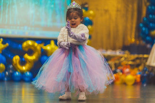 Princess tutu dress