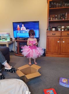 Mayhem Creations Pink Tutu Dress