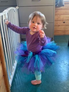 Purple Tutu Skirt